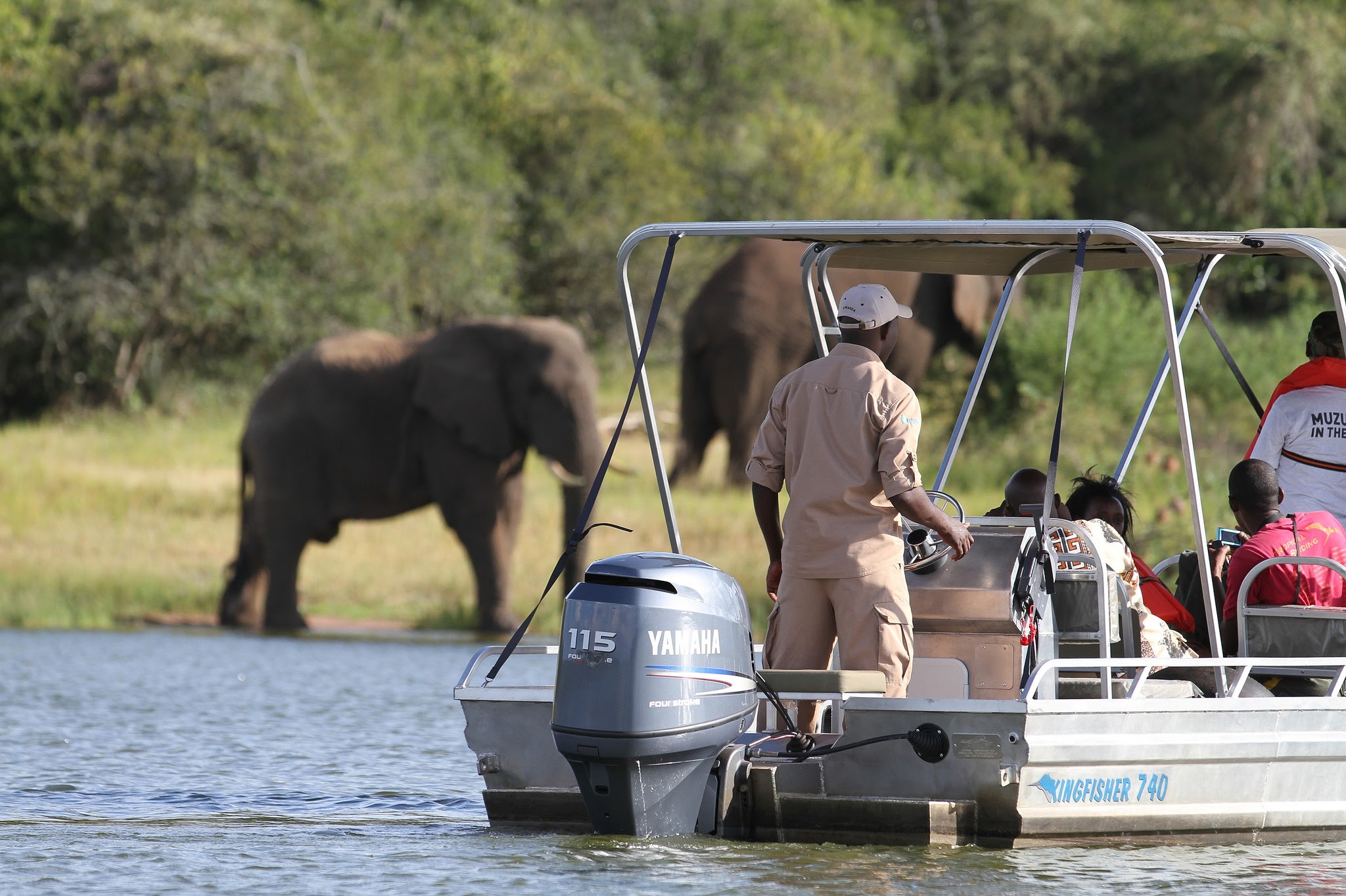  Akagera national park's rolling hills, lakes, and swamps provide a stunning backdrop for wildlife viewing, birdwatching, and boat tours on Lake Ihema.