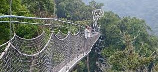 Nyungwe Forest National Park can be visited year-round, but the dry seasons from June to September and December to February are ideal for hiking and primate tracking.