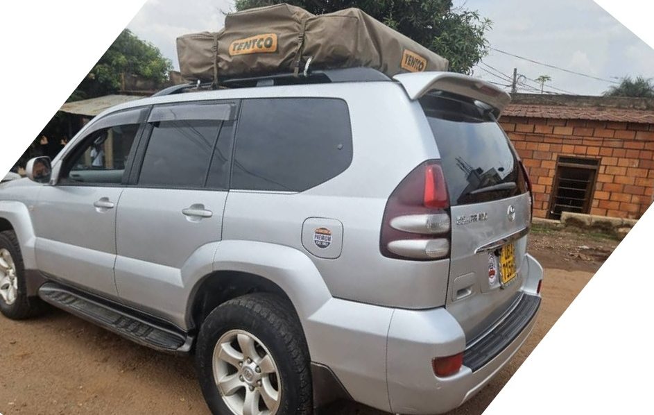 la location de voiture au Rwanda avec Car Rentals Rwanda. Choisissez parmi une large gamme de véhicules et explorez le pays à votre rythme. Profitez de tarifs flexibles et de forfaits de protection pour un voyage en toute sérénité.