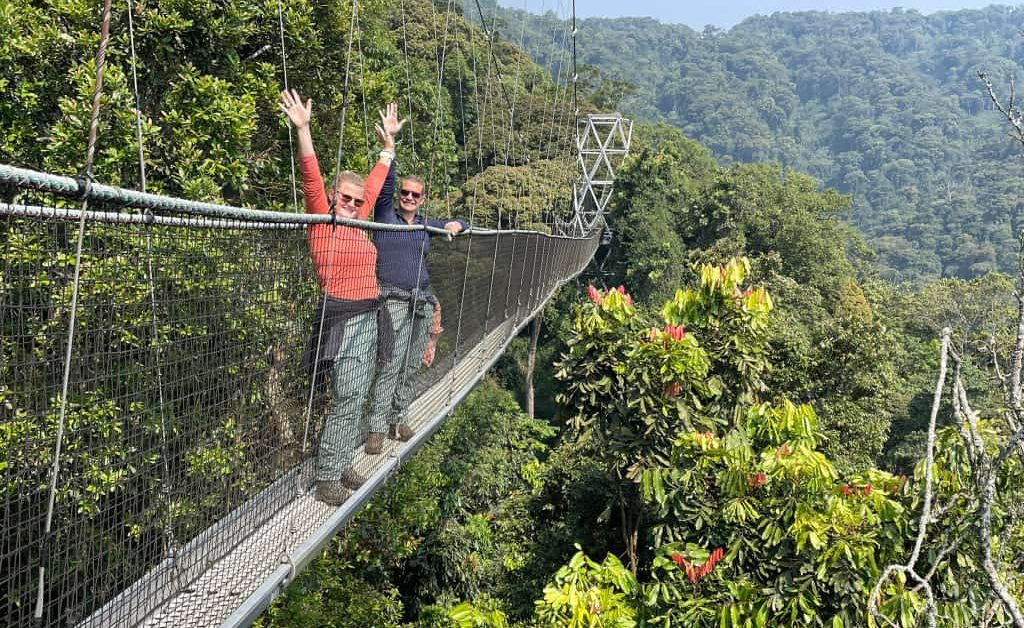 Experience the thrill of Nyungwe Forest's Canopy Walkway with Car Rentals Rwanda