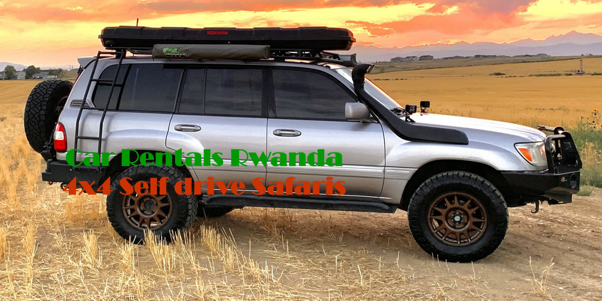 Rent a 4x4 for a self-drive or guided safari and experience an unforgettable adventure., Explore Murchison Falls National Park, Uganda’s first national park, with Car Rentals Rwanda.