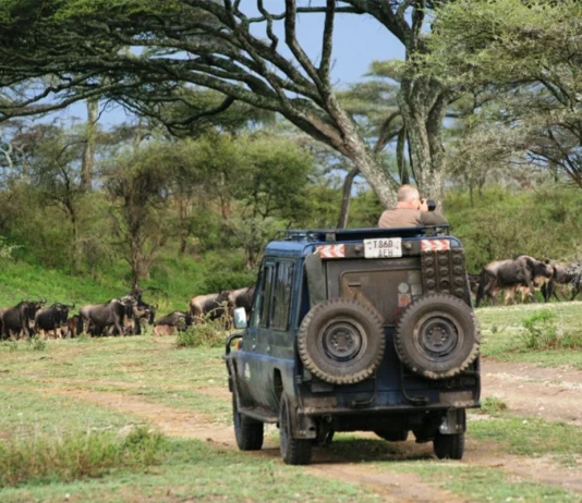 Rwanda Awaits: Self-Drive and Chauffeured Tours with Car Rentals - Visit Rwanda