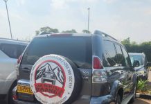 Best 4×4 Cars for a Rwanda Safari: Which Vehicle Should You Hire? best 4x4 cars Rwanda safari