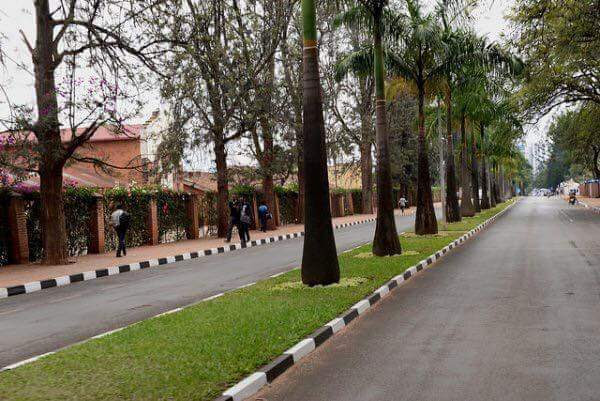 Book a car rental in Rwanda with Car Rentals Rwanda. Choose from self-drive options, chauffeur service, 4×4 safari vehicles, rooftop tents, airport pickup, and Uganda cross-border hire.