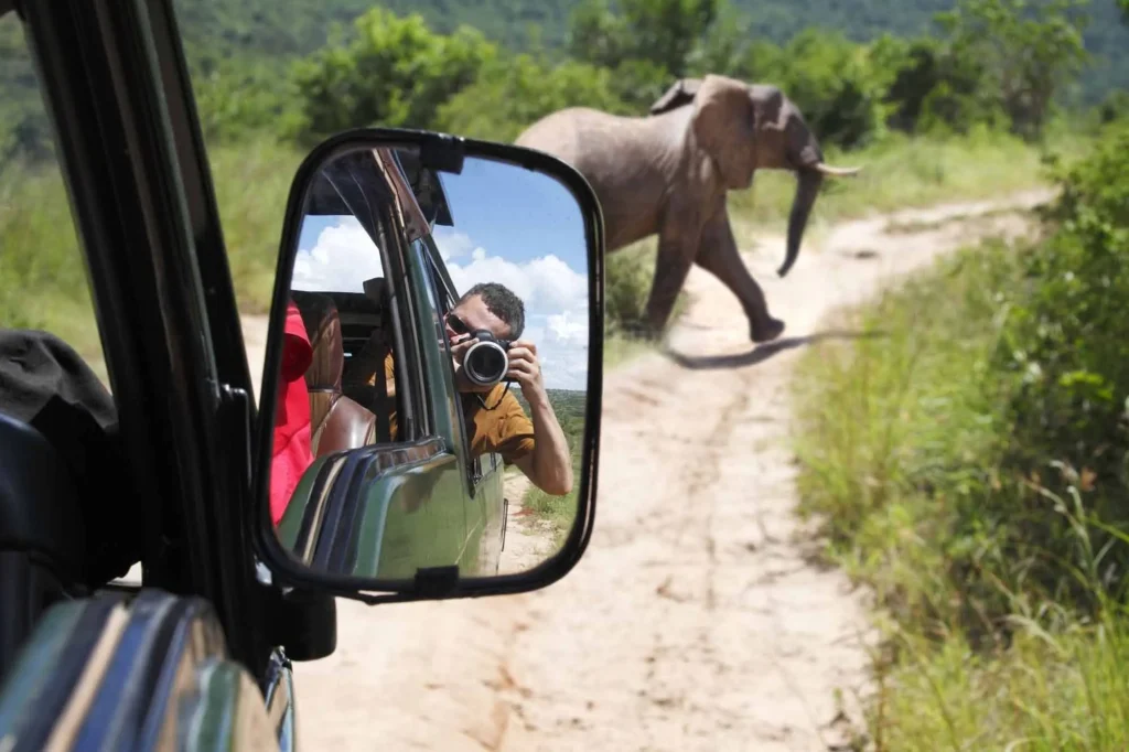 Plan your self drive in Rwanda with Car Rentals Rwanda. Affordable 4×4, self-drive cars, unlimited mileage, and flexible road trip options across Rwanda and East Africa.