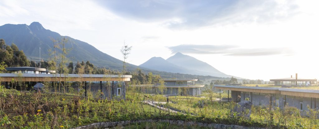 Book car rental to Volcanoes National Park with Car Rentals Rwanda. Self-drive or driver-guide SUVs and 4×4s from Kigali, ideal for gorilla trekking travel.