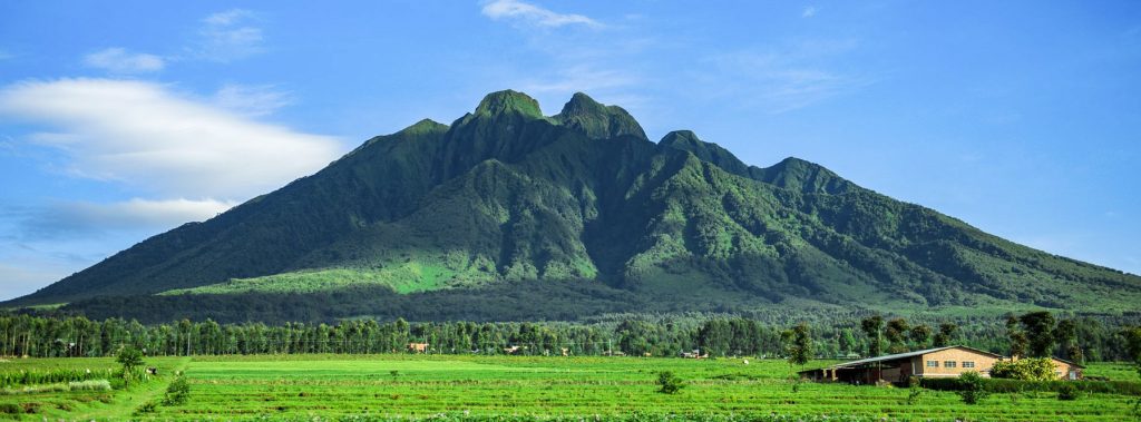 Explore 4x4 adventures in Rwanda with Car Rentals Rwanda. Rent 4WD Jeeps, rooftop tents, and more for unforgettable self-drive safaris and overland trips.