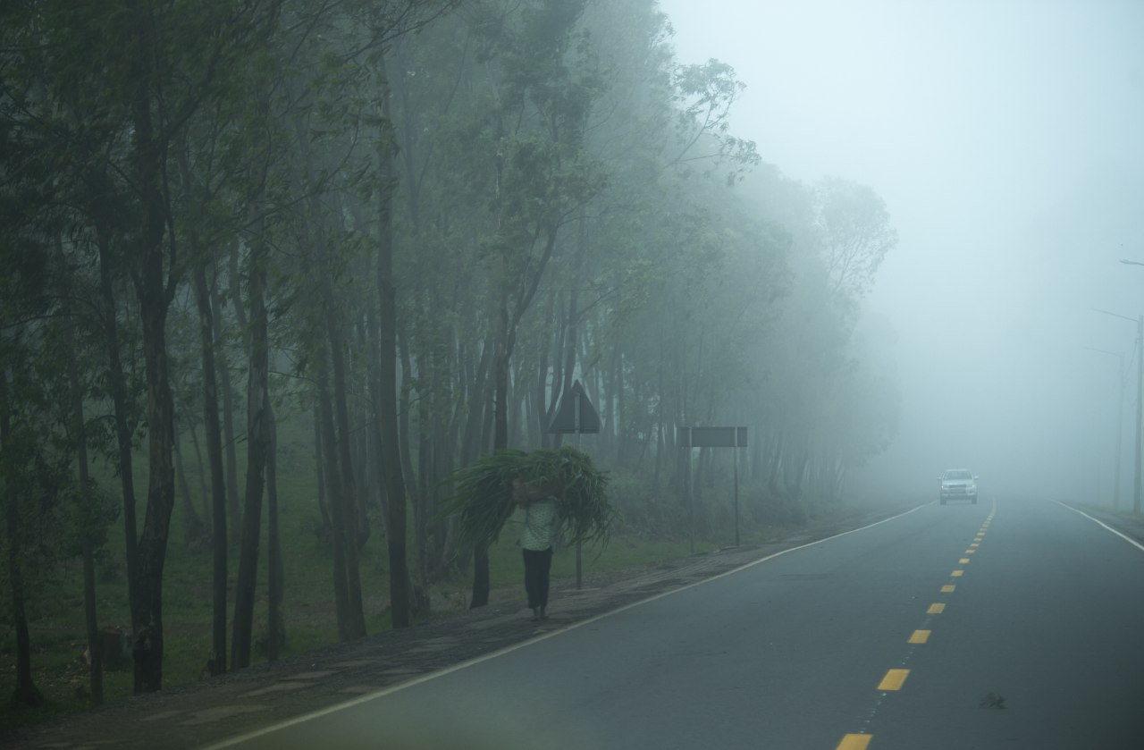 Find the best time to visit Rwanda for road trips. Compare dry vs rainy seasons, road conditions, what to pack, and the best car choice with Car Rentals Rwanda.