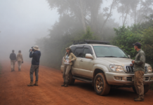 Rwanda Uganda Road Trip 2026: The Complete Self-Drive Guide Plan your Rwanda Uganda road trip 2026. Two border crossings, gorilla trekking both sides, Queen Elizabeth & Murchison Falls. Pick up Kigali, drop off Entebbe. From $70/day.