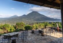 Rwanda Gorilla Permit 2026: Costs, Booking Steps & Car Hire Guide Rwanda gorilla permit 2026 costs $1,500 for international visitors — $500 for residents, $200 for East Africans. Complete booking guide + car hire from Kigali from $40/day.